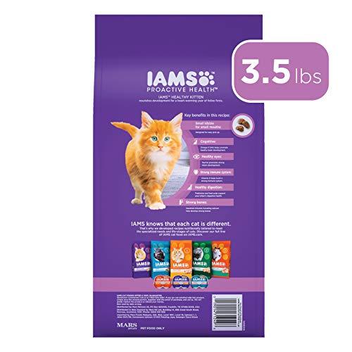 IAMS PROACTIVE HEALTH HEALTHY KITTEN Dry Cat Food with Fish Oil Chicken  3.5-Lbs | eBay